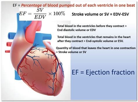 lv fs normal range|Ejection fraction: An important heart test .